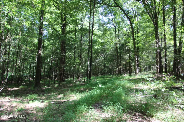 $374,393 | Ebenezer-coxburg Road Lexington Ms 39095, Lexington, MS 39095