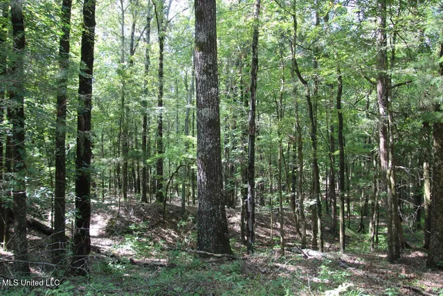 $374,393 | Ebenezer-coxburg Road Lexington Ms 39095, Lexington, MS 39095