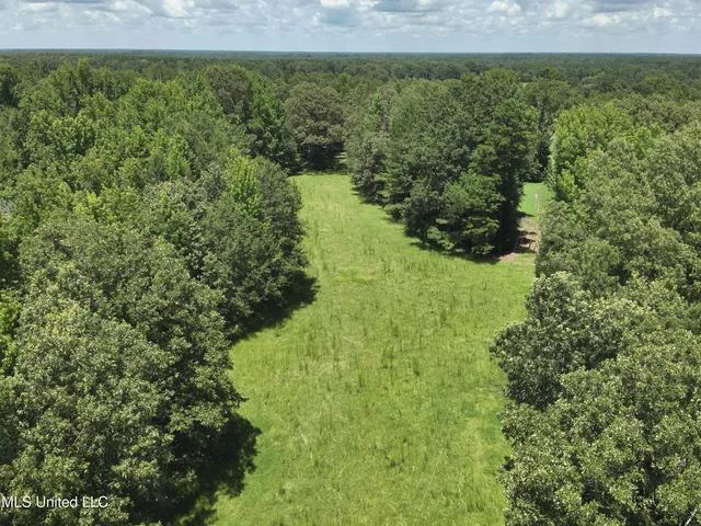 $374,393 | Ebenezer-coxburg Road Lexington Ms 39095, Lexington, MS 39095