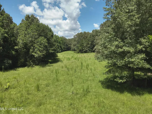 $374,393 | Ebenezer-coxburg Road Lexington Ms 39095, Lexington, MS 39095