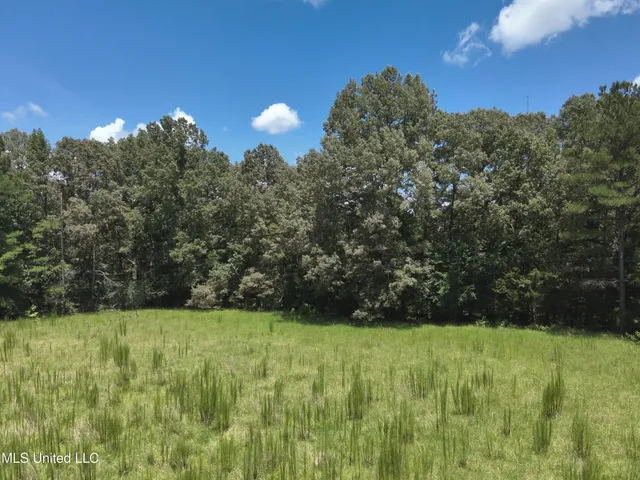 $374,393 | Ebenezer-coxburg Road Lexington Ms 39095, Lexington, MS 39095