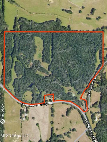 $374,393 | Ebenezer-coxburg Road Lexington Ms 39095, Lexington, MS 39095