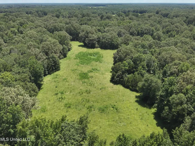 $374,393 | Ebenezer-coxburg Road Lexington Ms 39095, Lexington, MS 39095