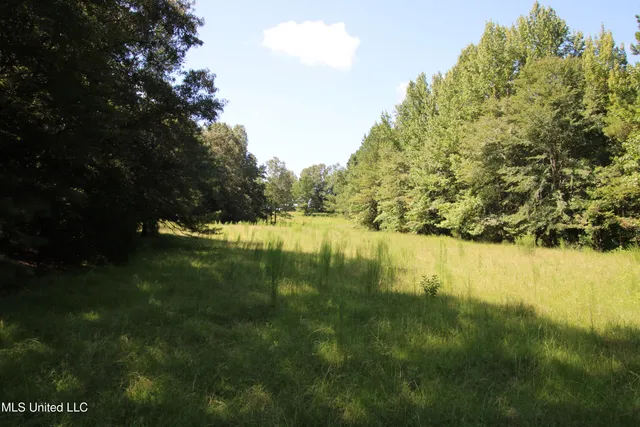 $374,393 | Ebenezer-coxburg Road Lexington Ms 39095, Lexington, MS 39095