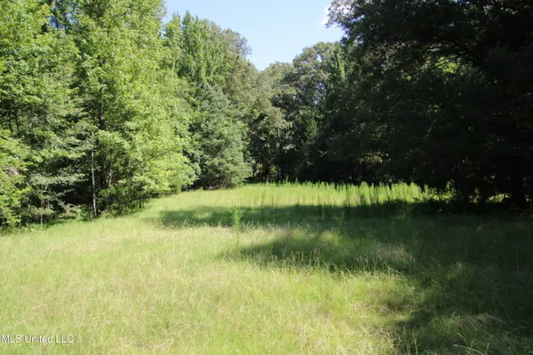 $374,393 | Ebenezer-coxburg Road Lexington Ms 39095, Lexington, MS 39095
