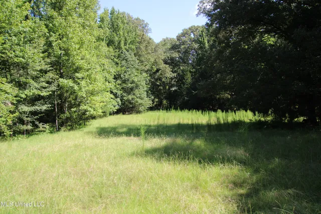 $374,393 | Ebenezer-coxburg Road Lexington Ms 39095, Lexington, MS 39095