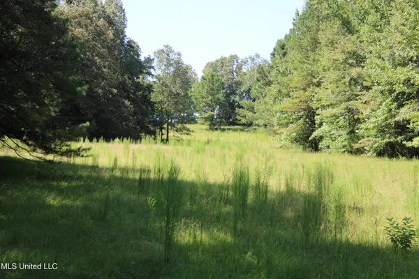 $374,393 | Ebenezer-coxburg Road Lexington Ms 39095, Lexington, MS 39095