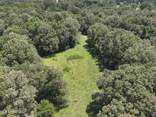 $374,393 | Ebenezer-coxburg Road Lexington Ms 39095, Lexington, MS 39095