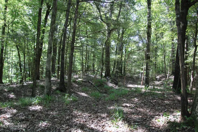 $374,393 | Ebenezer-coxburg Road Lexington Ms 39095, Lexington, MS 39095