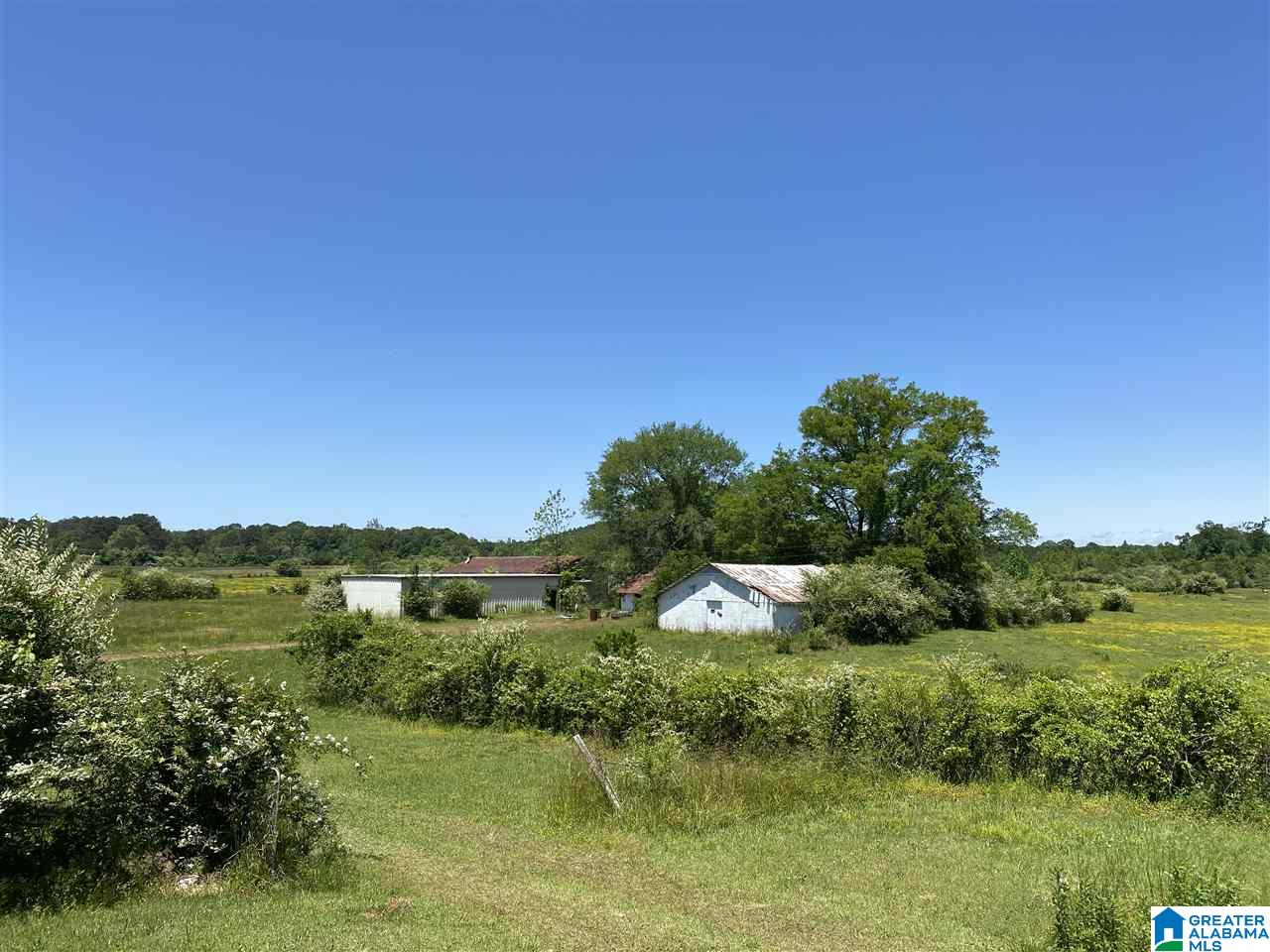 1307 State Rte 60 Vincent, AL 35178 - Photo 31 of 33