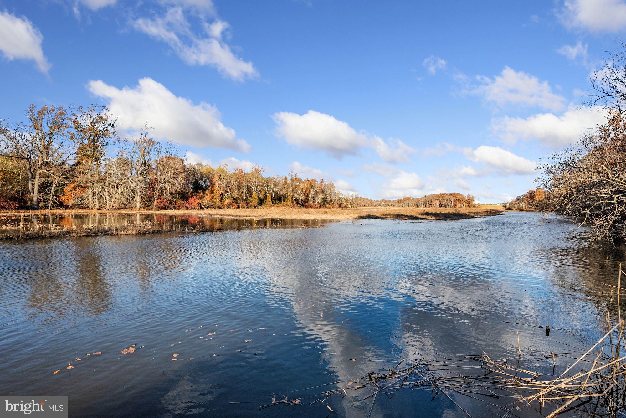 54 Mantua Road Mount Royal, NJ 08061 - Photo 28 of 29 Water views