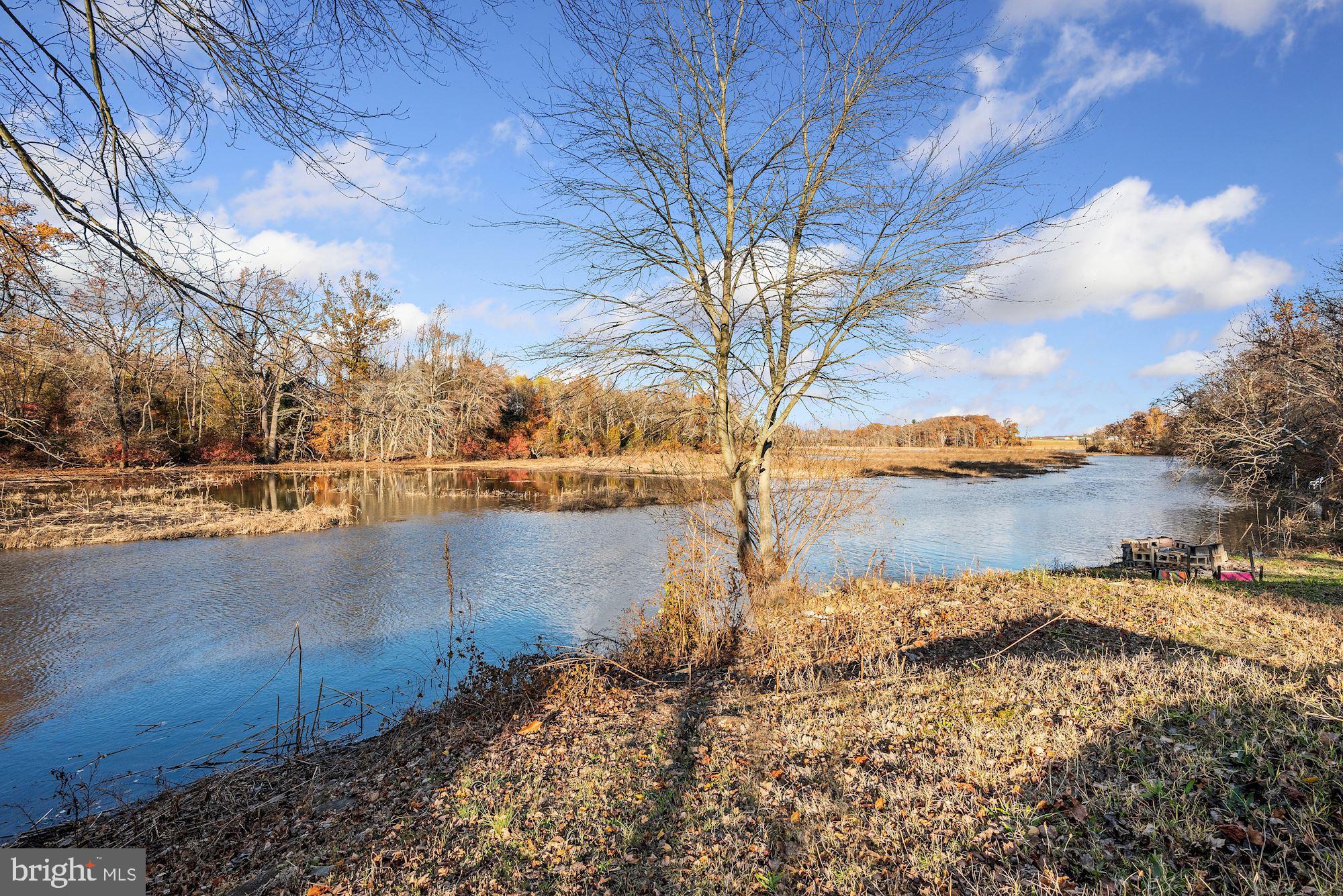 54 Mantua Road Mount Royal, NJ 08061 - Photo 29 of 29 Creek views with fishing.