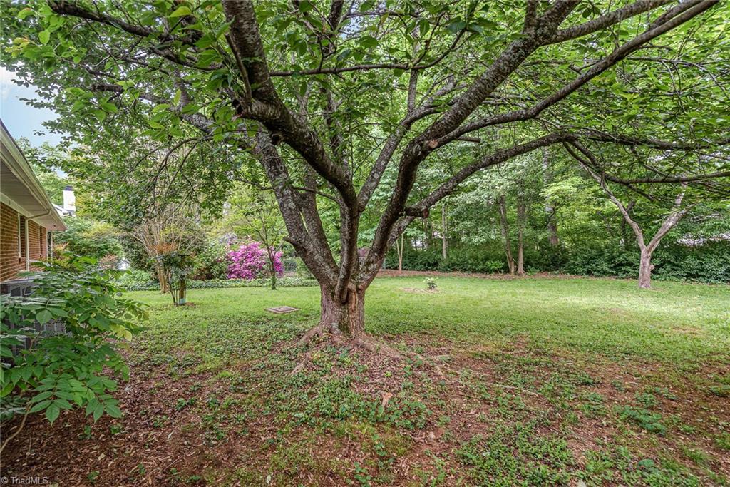 1324 Ziglar Road Winston-Salem, NC 27105 - Photo 8 of 30 Gallery Image 8