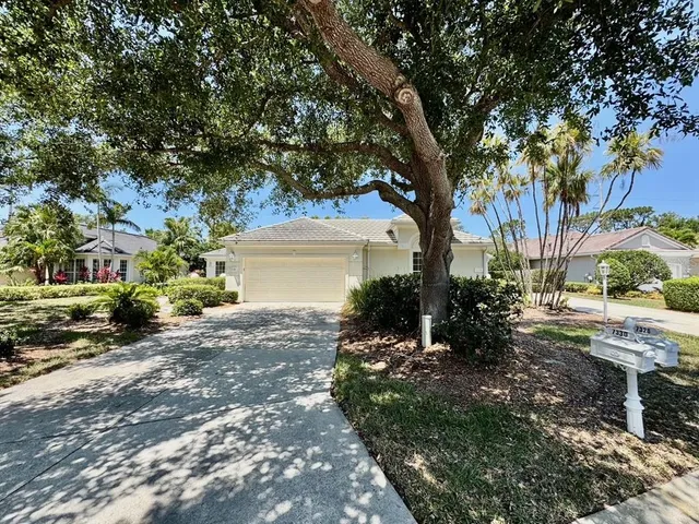 a view of a yard with plants and trees