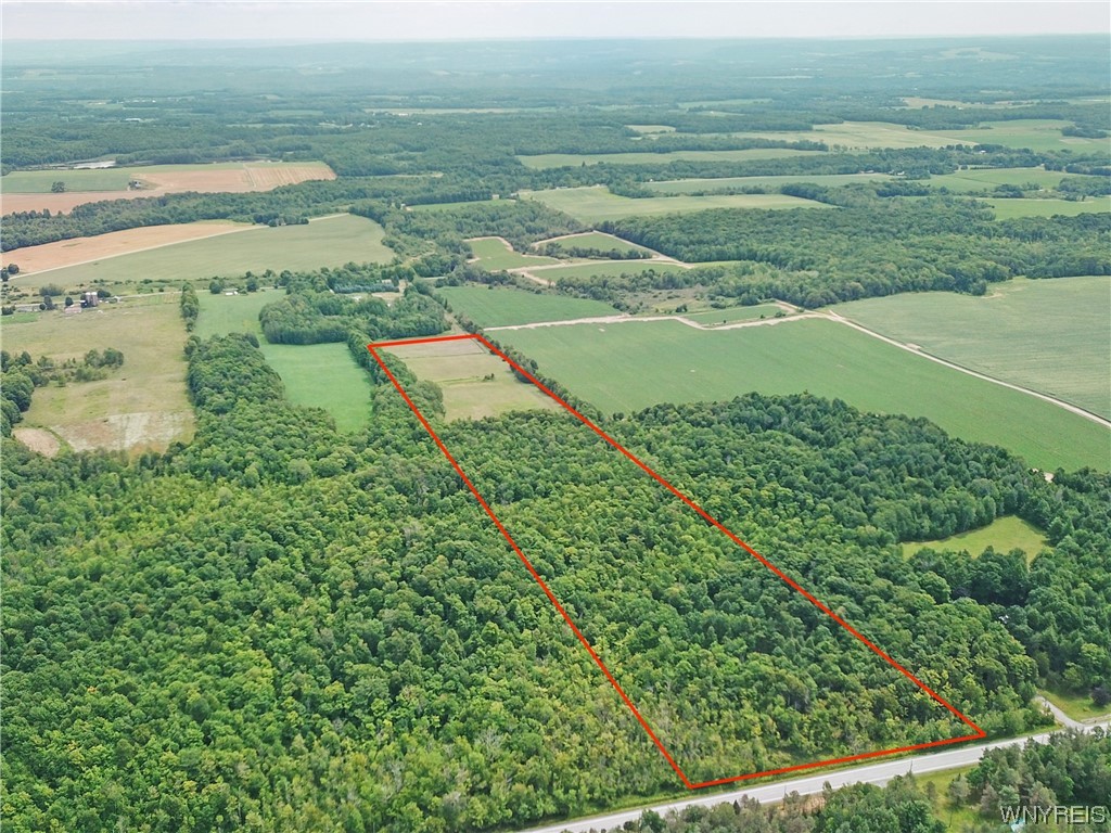 0 State Rt 19 Street Gainesville, NY 14066 - Photo 1 of 1 Gallery Image 1