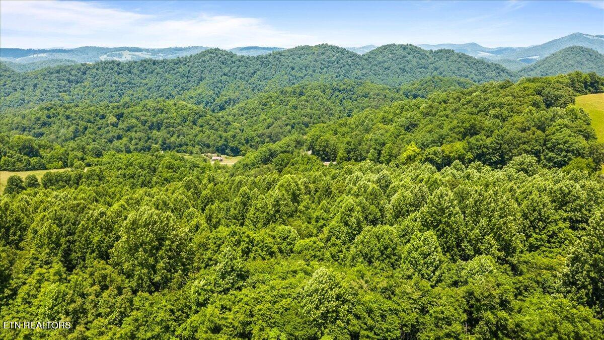 6 Bundren Mountain Road Tazewell, TN 37879 - Photo 13 of 14 15-Bundren Mountain Rd