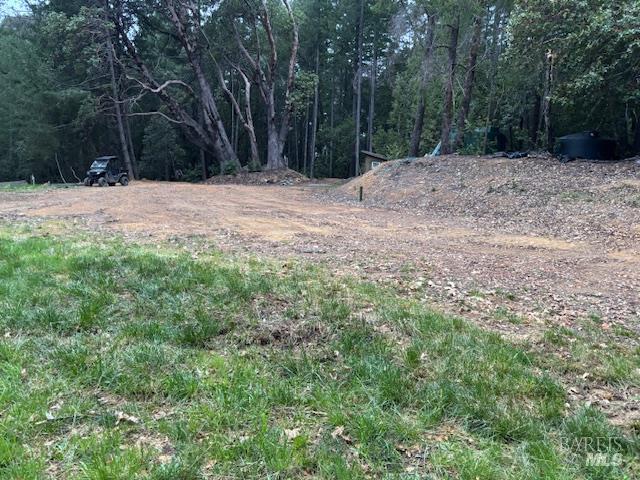 17707 Rockpile Road Geyserville, CA 95441 - Photo 9 of 22 a fire hydrant in the middle of a field