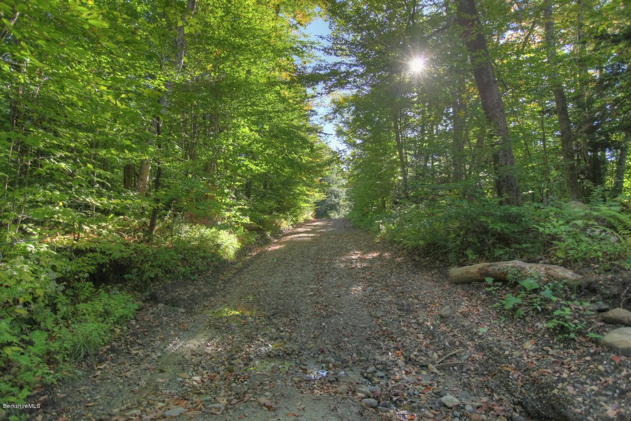 40 Viets Road Sandisfield, MA 01255 - Photo 45 of 92 a view of a forest with trees in the background