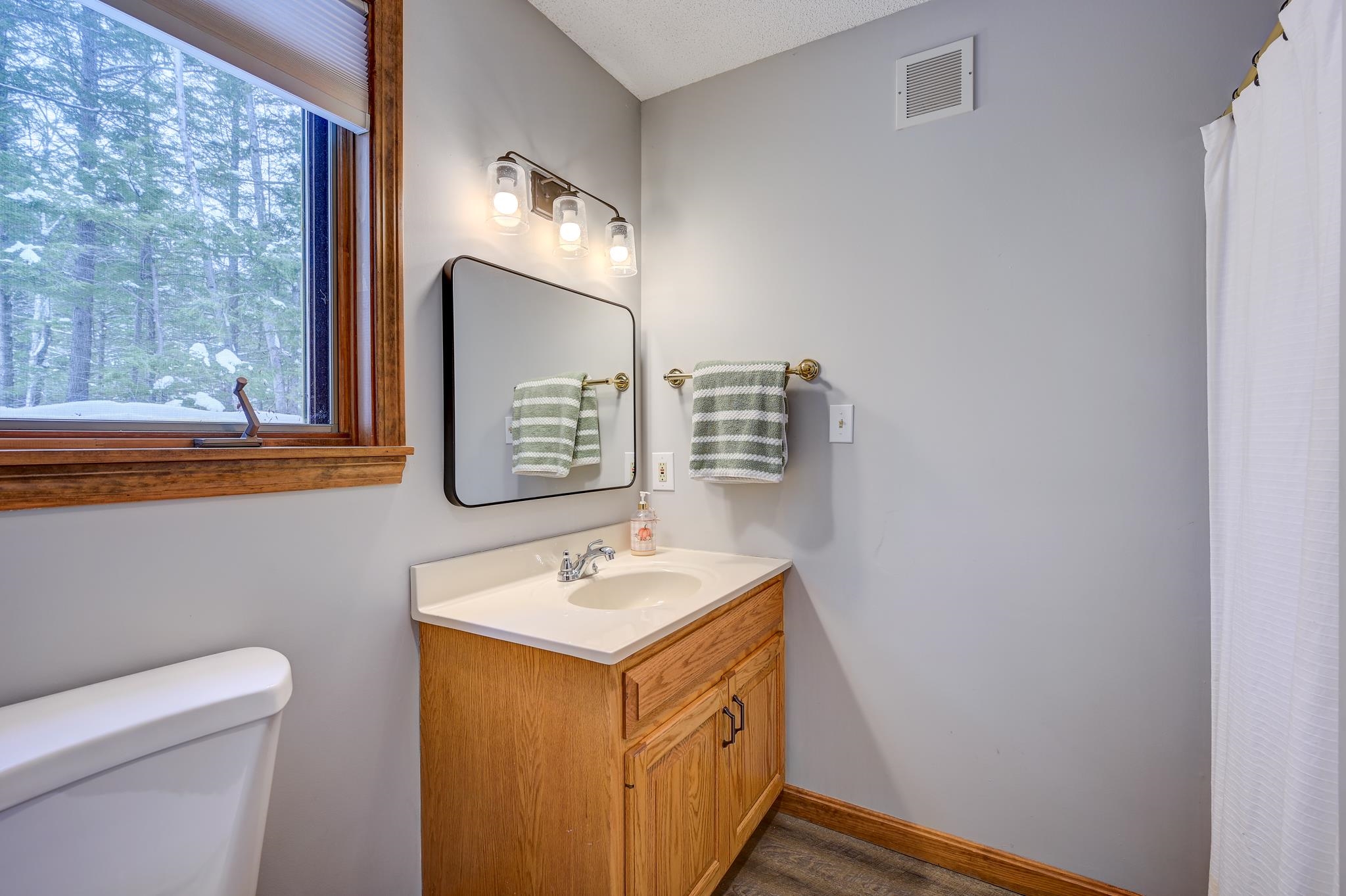 103 Moat View Drive Albany, NH 03818 - Photo 24 of 59