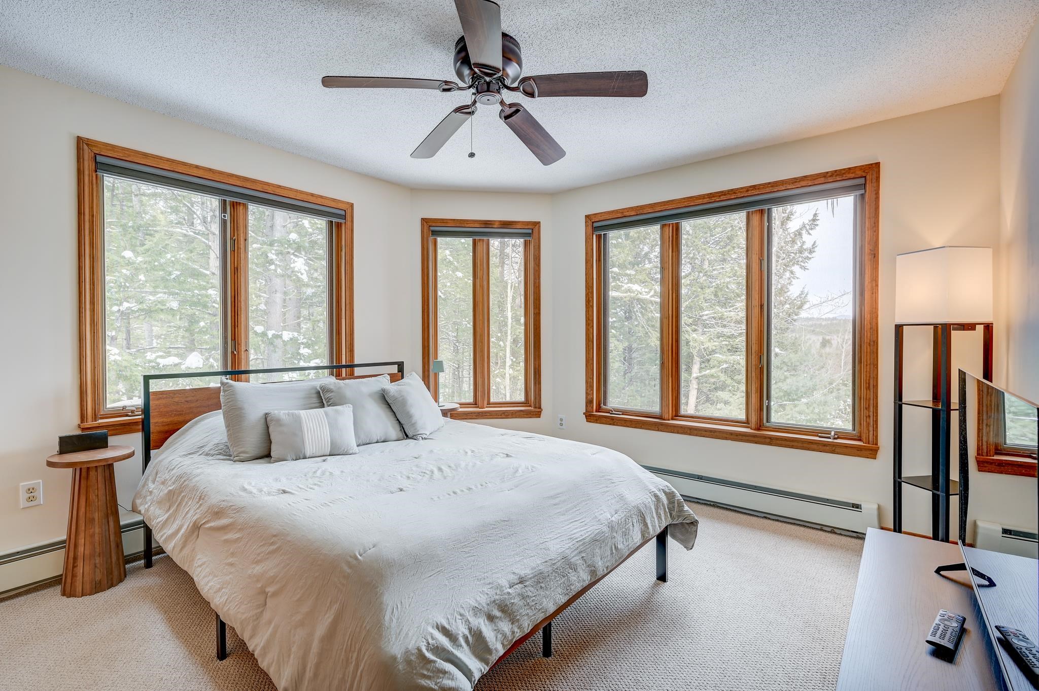 103 Moat View Drive Albany, NH 03818 - Photo 37 of 59