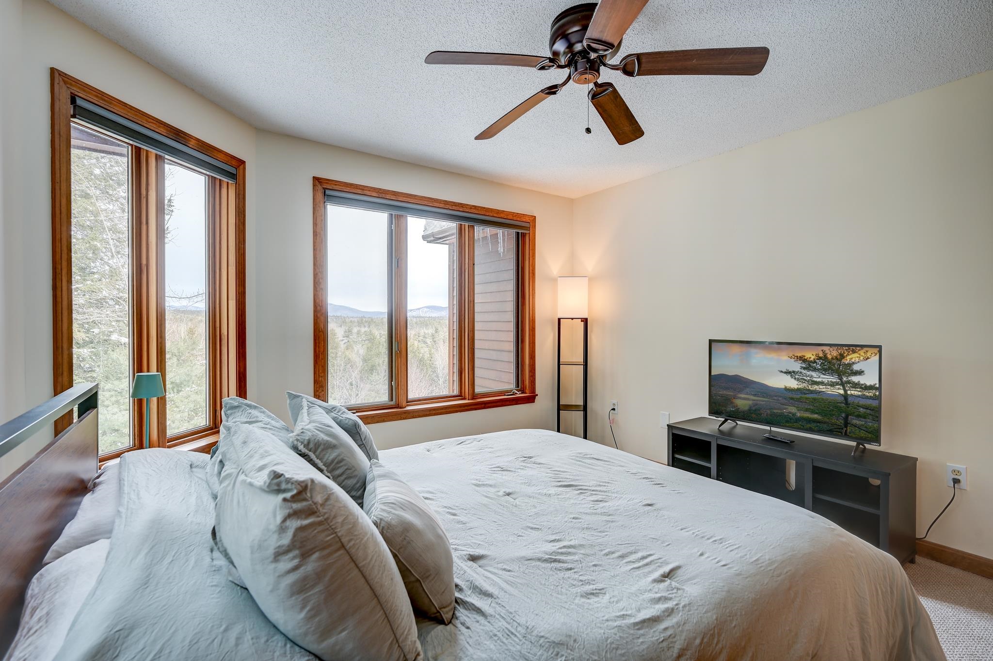 103 Moat View Drive Albany, NH 03818 - Photo 38 of 59