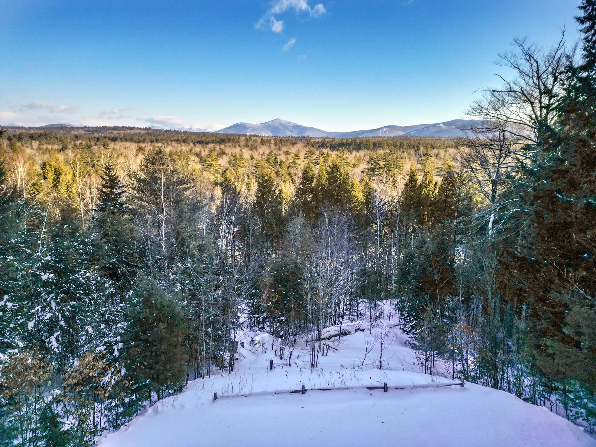 103 Moat View Drive Albany, NH 03818 - Photo 51 of 59