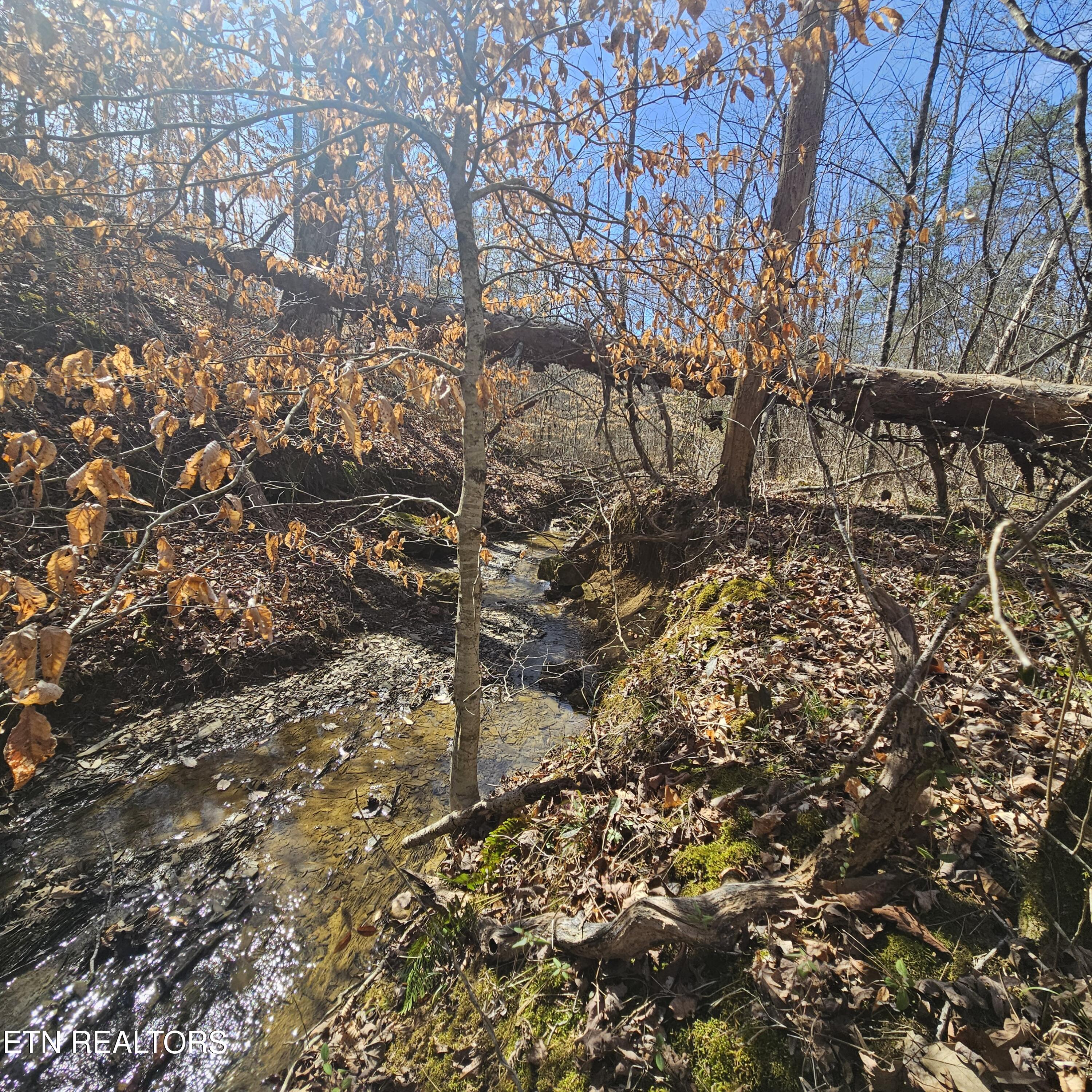 0 Lick Creek Road Tellico Plains, TN 37385 - Photo 14 of 48 creek on left side of the orad