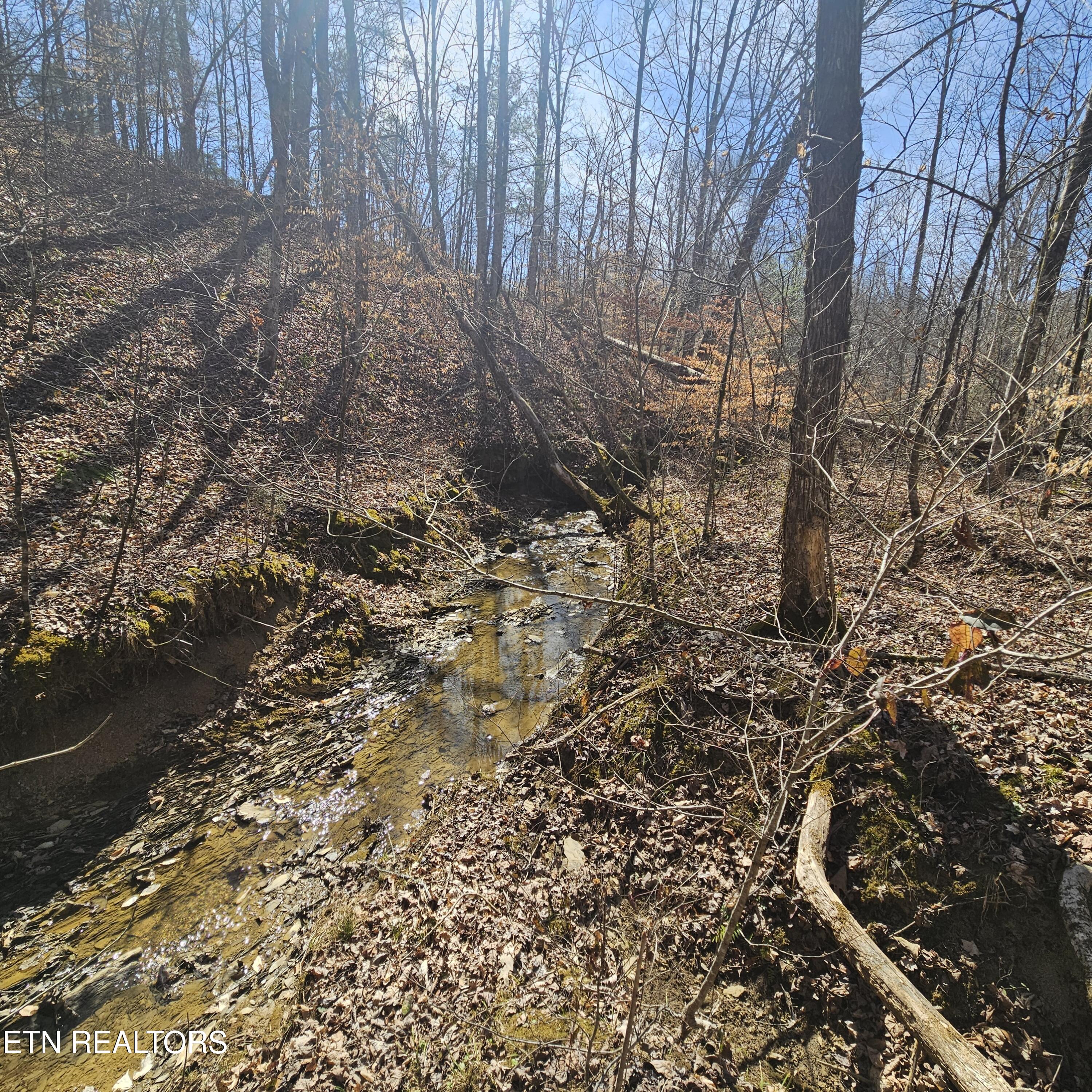 0 Lick Creek Road Tellico Plains, TN 37385 - Photo 16 of 48 left side