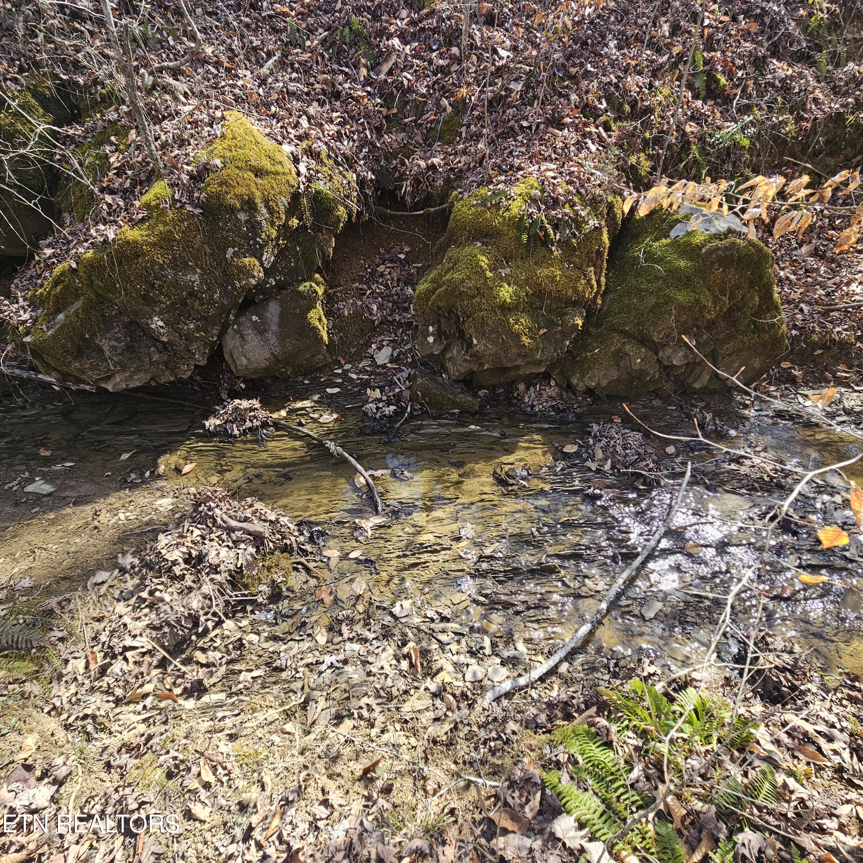 0 Lick Creek Road Tellico Plains, TN 37385 - Photo 17 of 48 left side