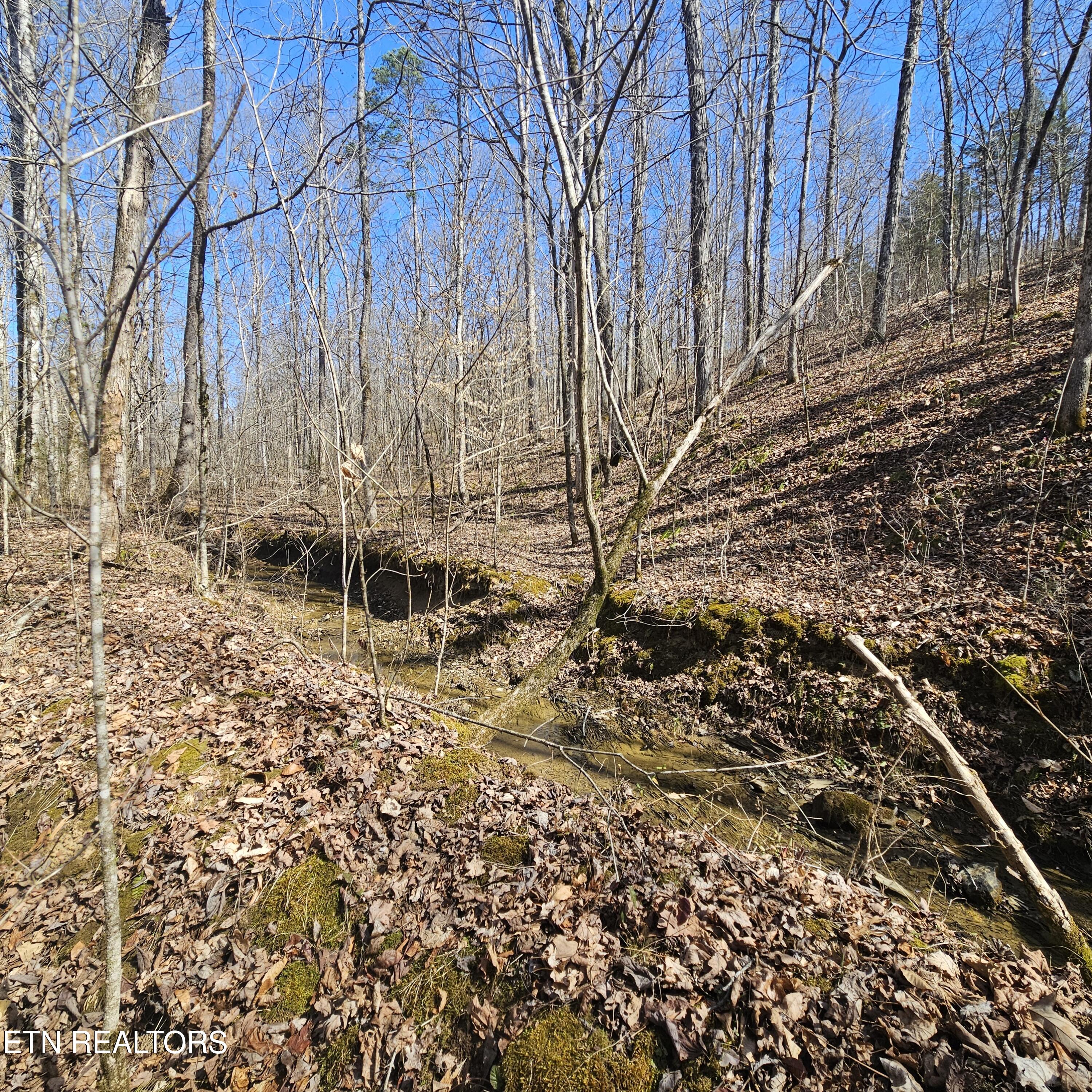 0 Lick Creek Road Tellico Plains, TN 37385 - Photo 18 of 48 left side