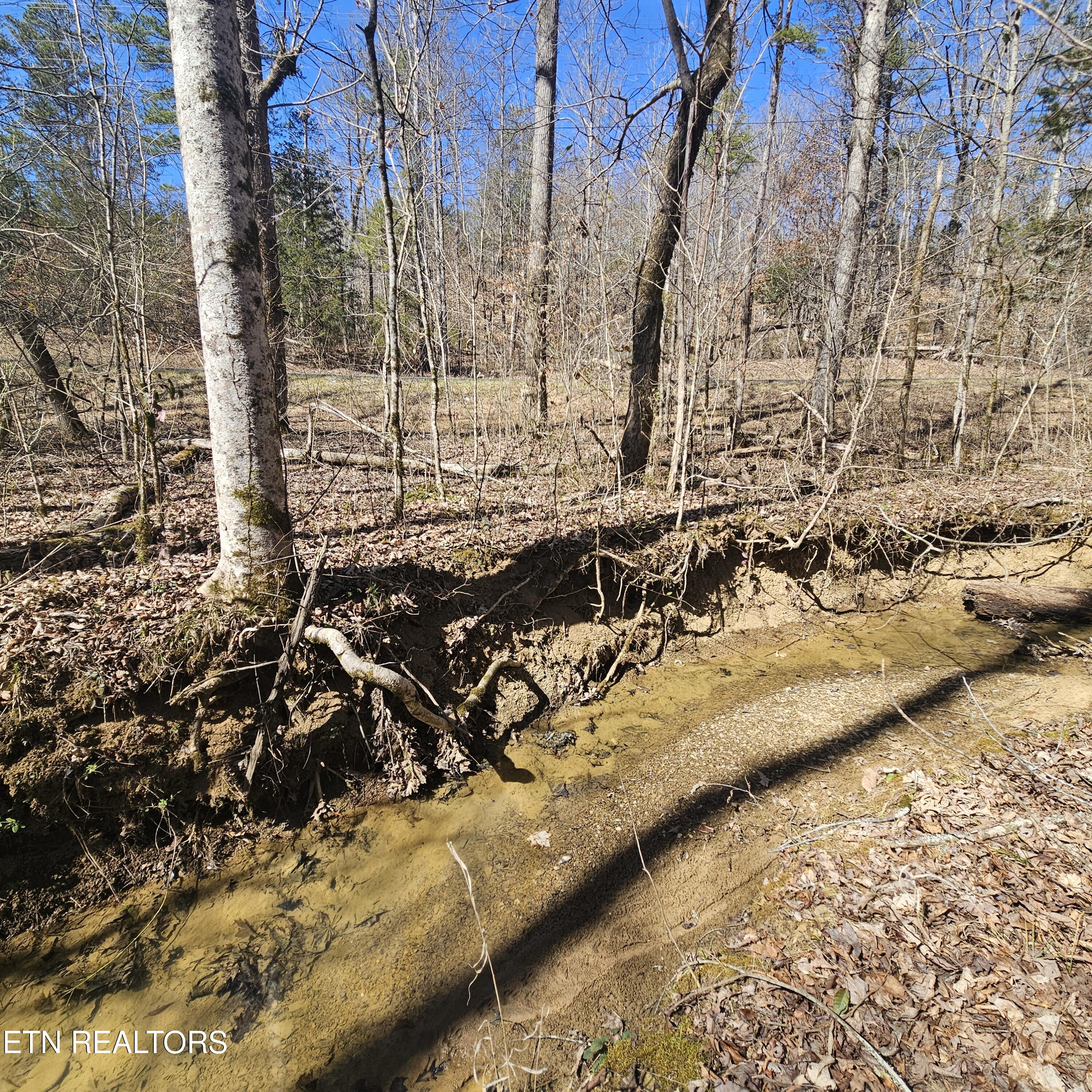 0 Lick Creek Road Tellico Plains, TN 37385 - Photo 19 of 48 left side