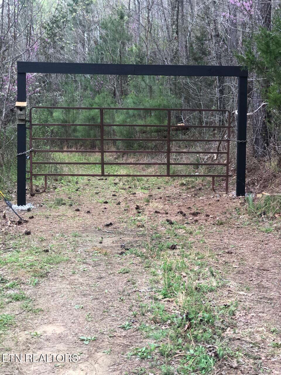0 Lick Creek Road Tellico Plains, TN 37385 - Photo 2 of 48 Welcome to the wooded paradise!