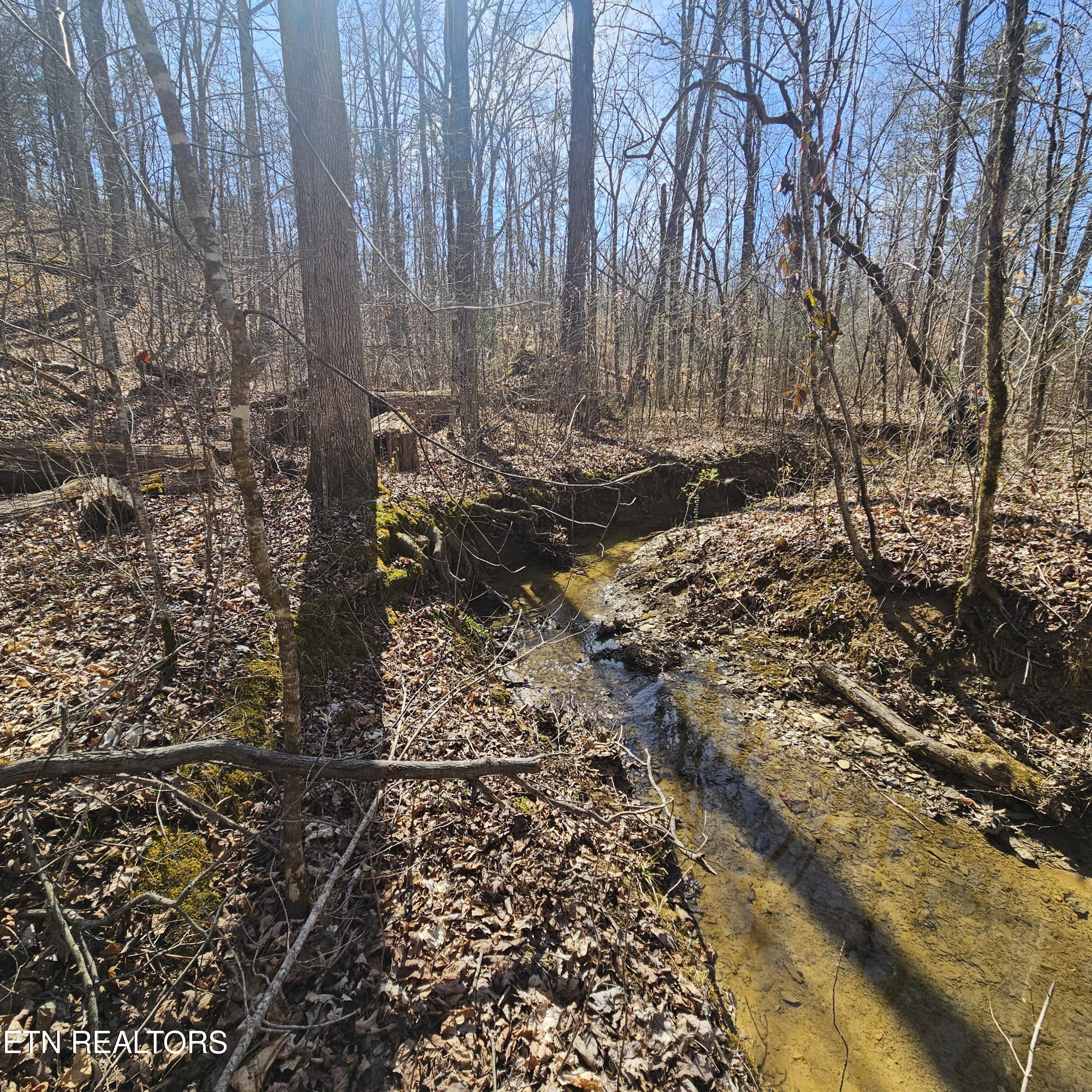 0 Lick Creek Road Tellico Plains, TN 37385 - Photo 21 of 48 left side