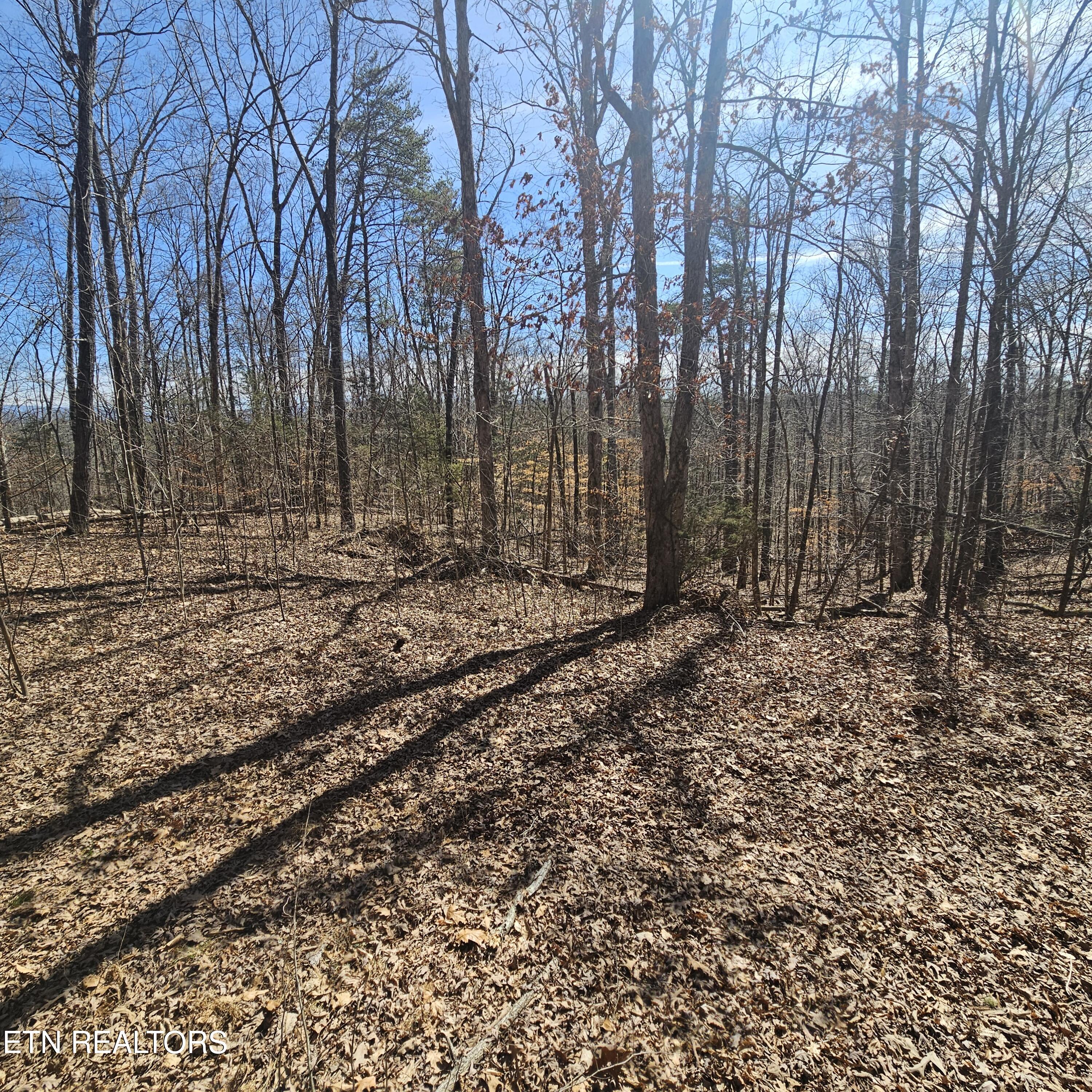 0 Lick Creek Road Tellico Plains, TN 37385 - Photo 24 of 48 20250301_125709