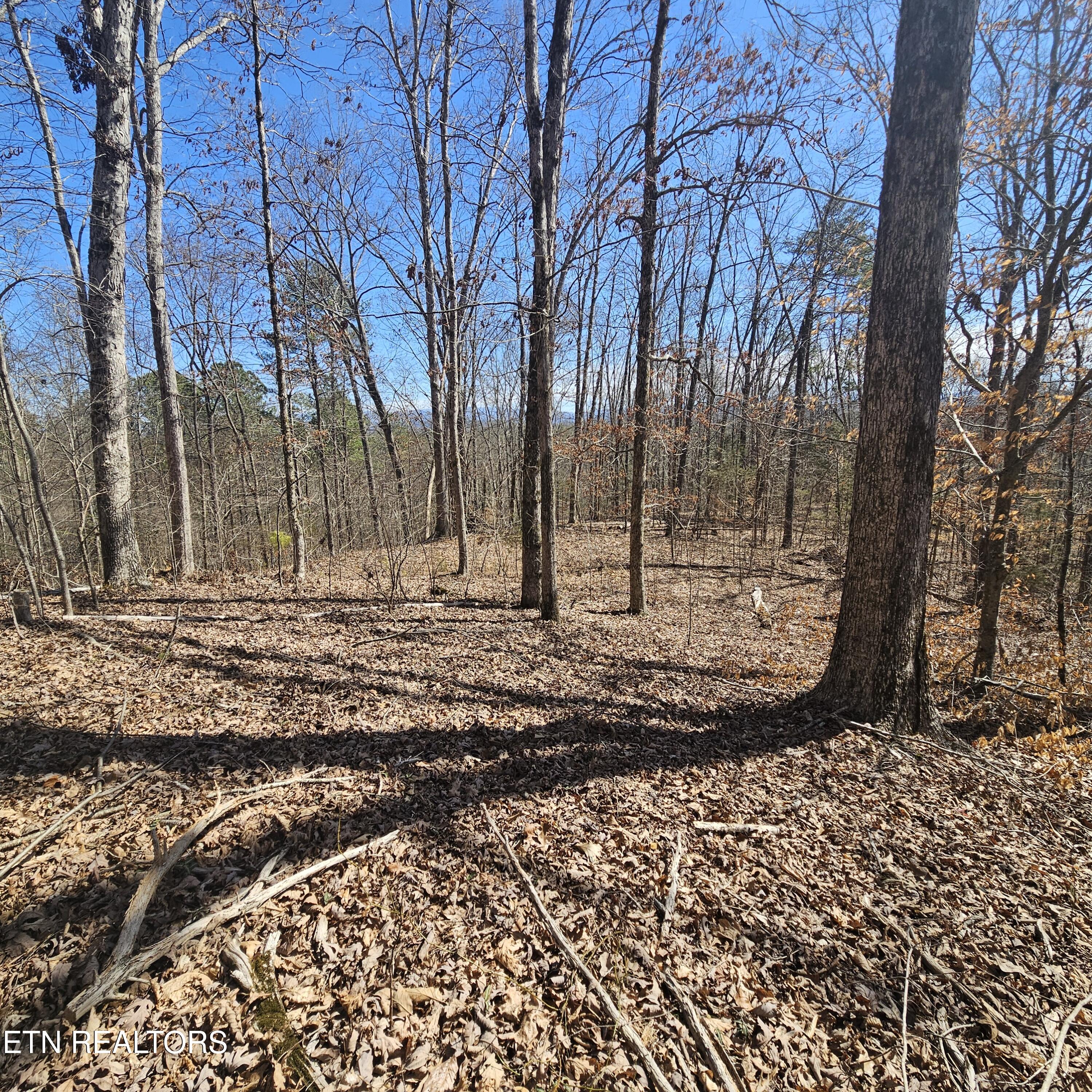 0 Lick Creek Road Tellico Plains, TN 37385 - Photo 25 of 48 20250301_125030