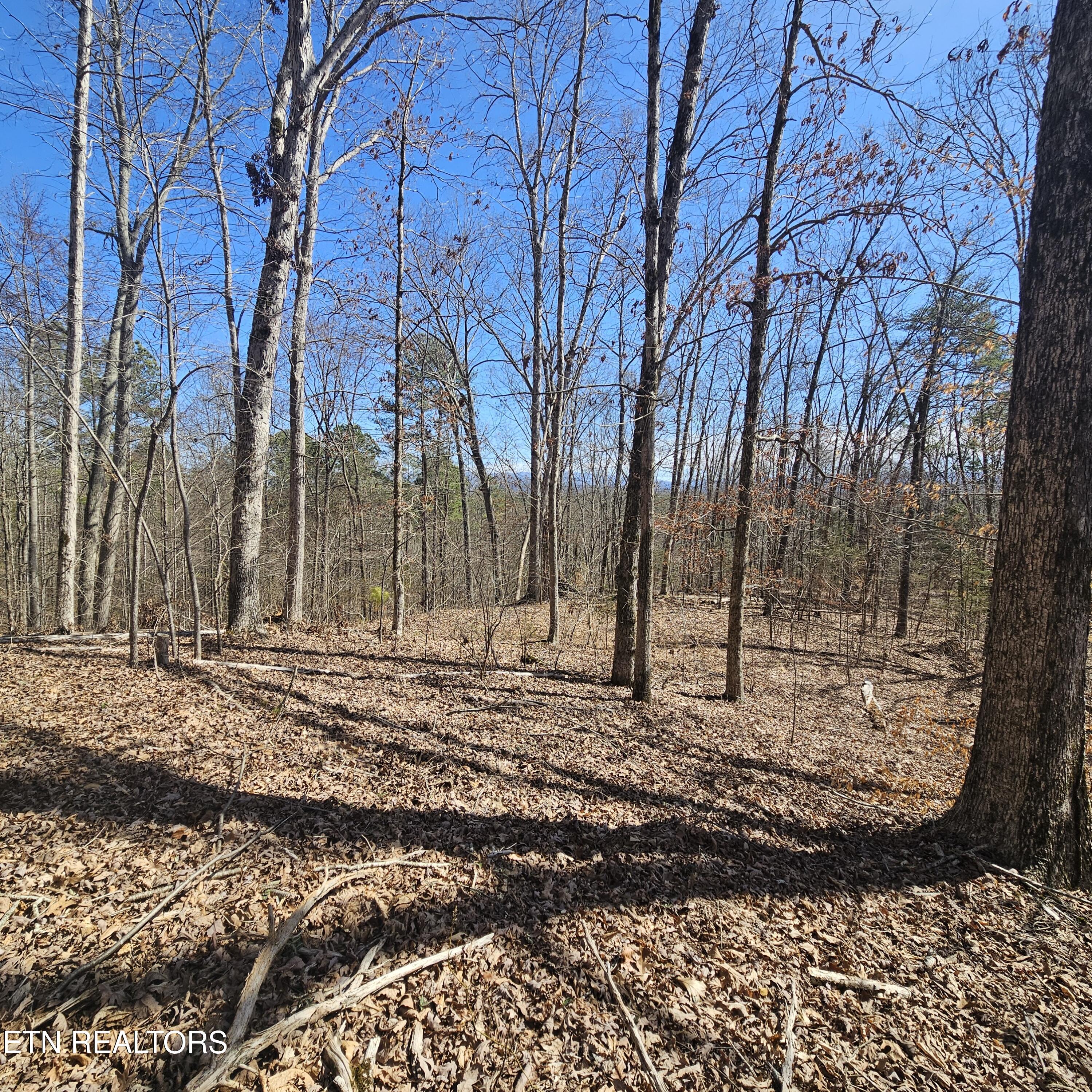 0 Lick Creek Road Tellico Plains, TN 37385 - Photo 27 of 48 20250301_125032