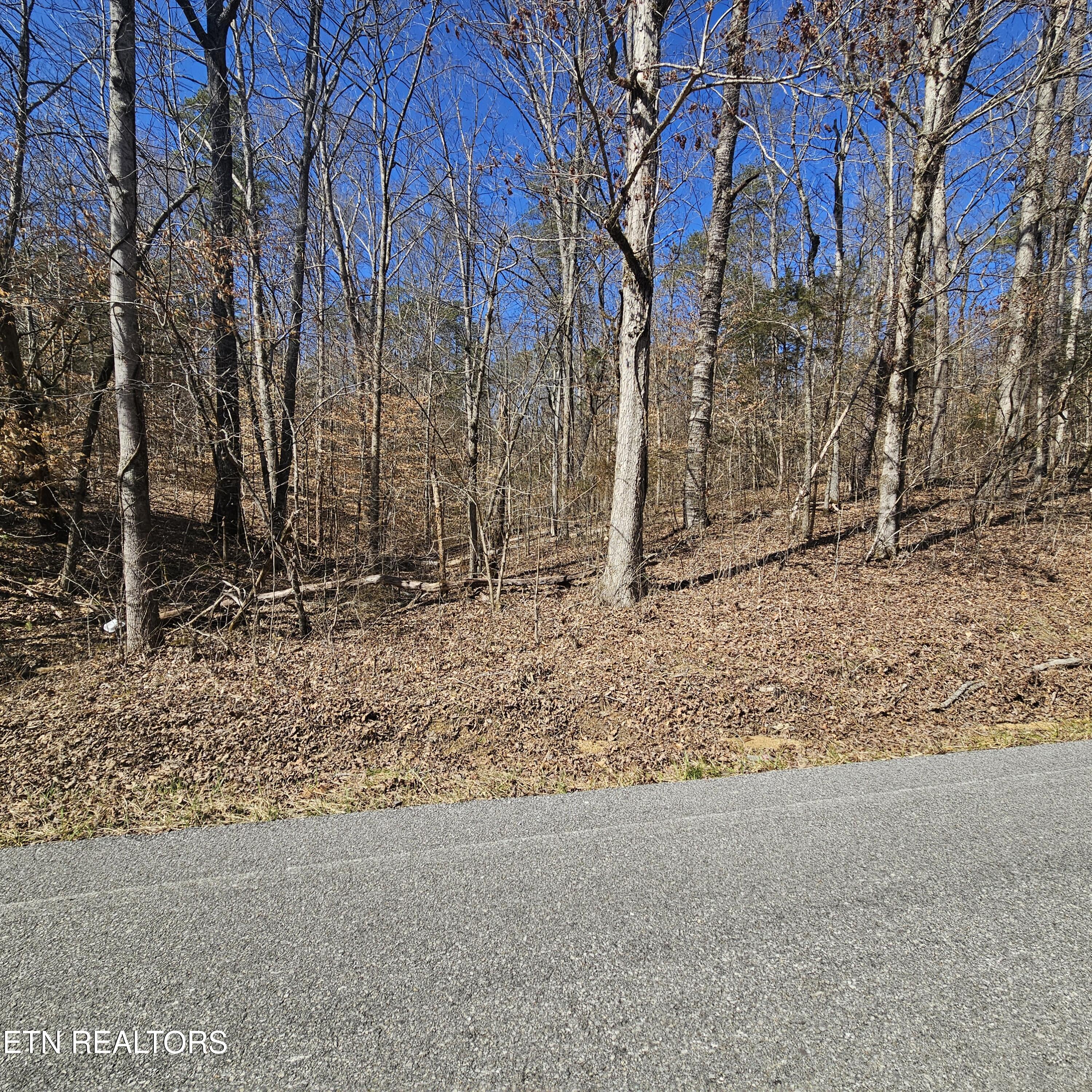 0 Lick Creek Road Tellico Plains, TN 37385 - Photo 31 of 48 20250301_134443