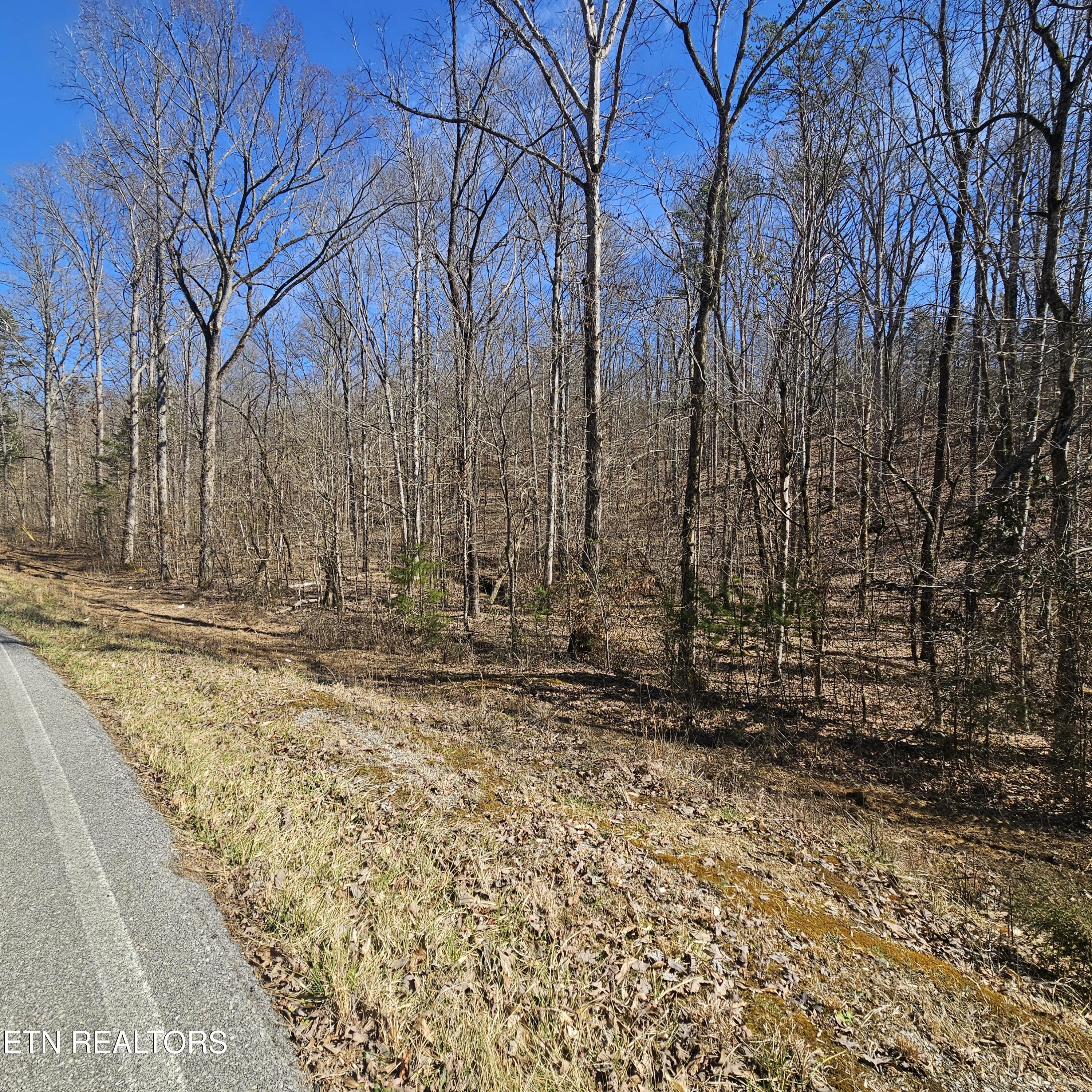 0 Lick Creek Road Tellico Plains, TN 37385 - Photo 33 of 48 20250301_134107