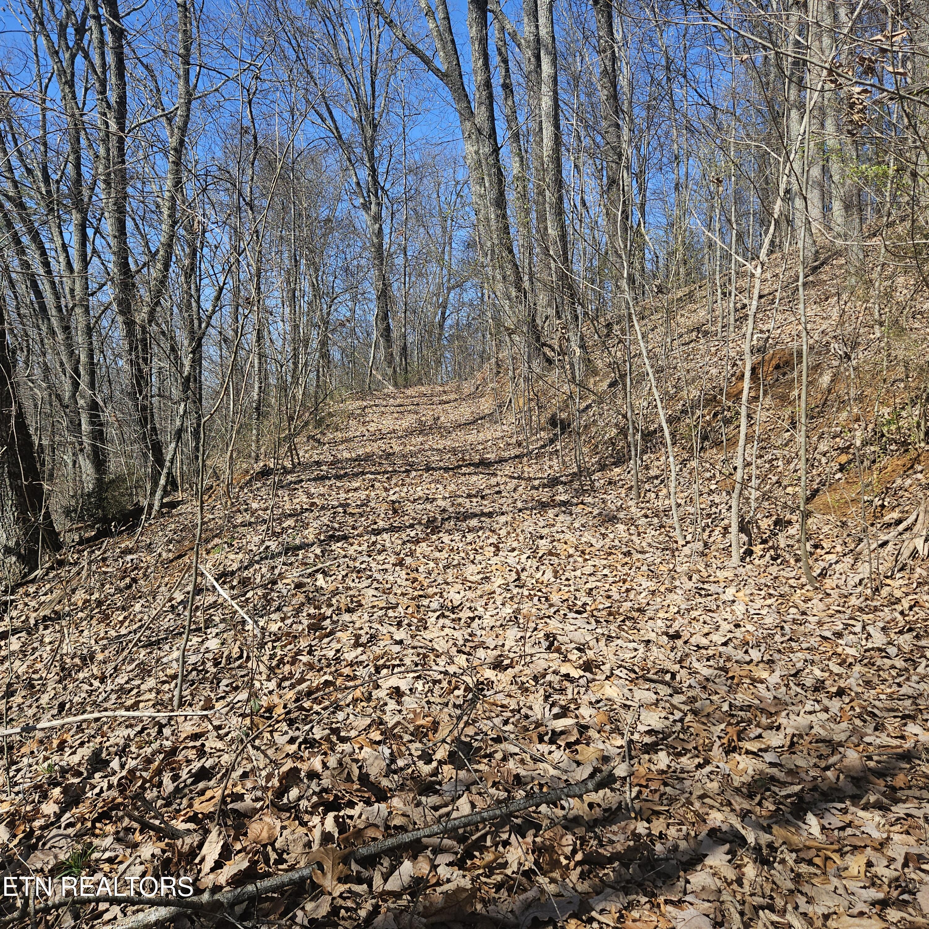 0 Lick Creek Road Tellico Plains, TN 37385 - Photo 36 of 48 20250301_121648