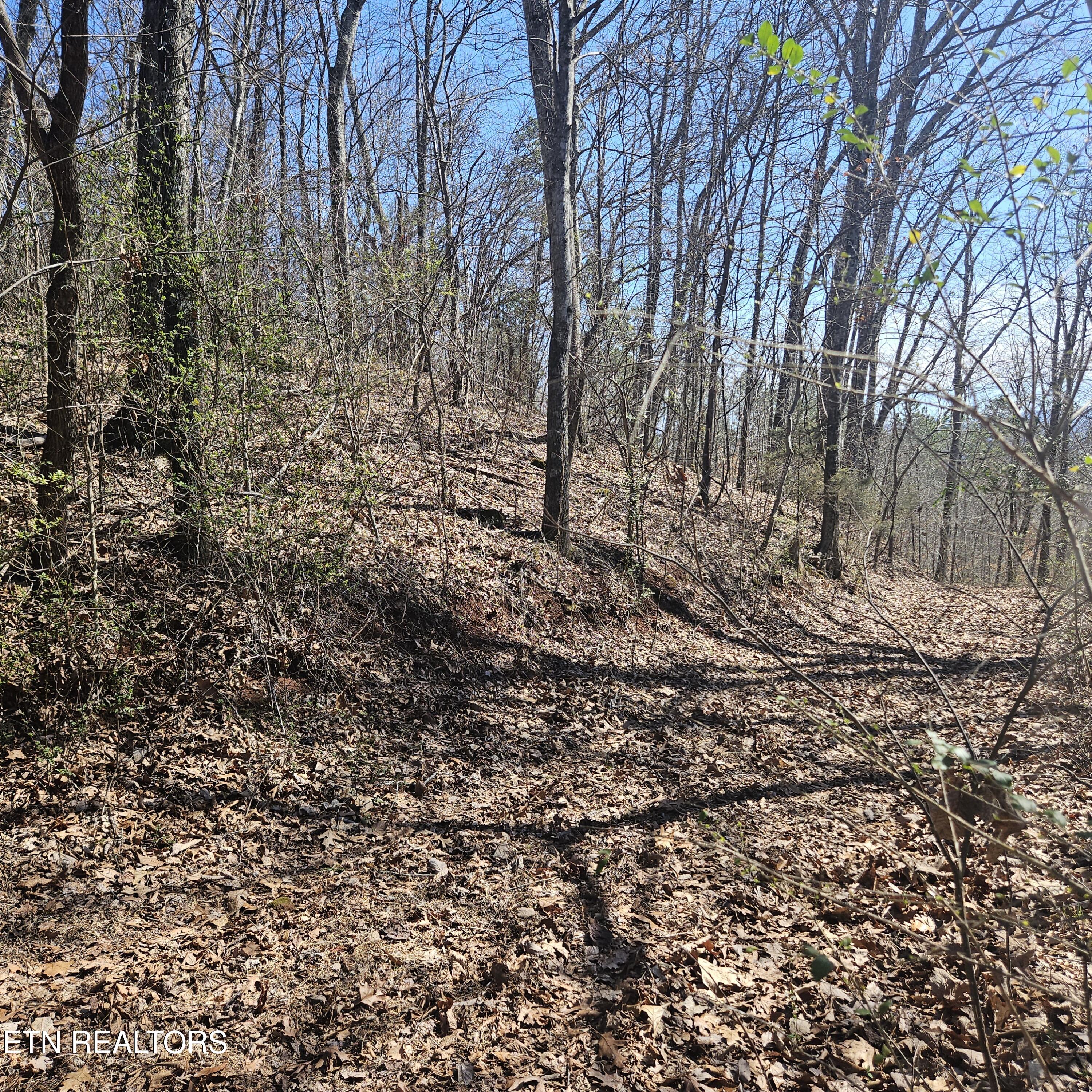 0 Lick Creek Road Tellico Plains, TN 37385 - Photo 43 of 48 20250301_123820 (1)