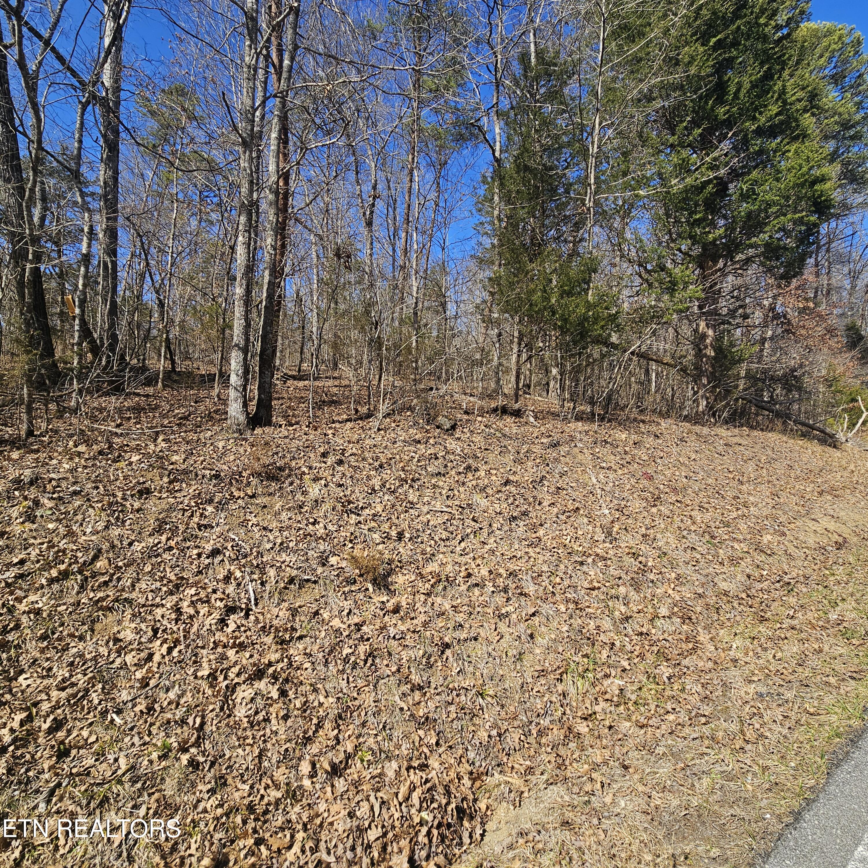 0 Lick Creek Road Tellico Plains, TN 37385 - Photo 44 of 48 20250301_134522