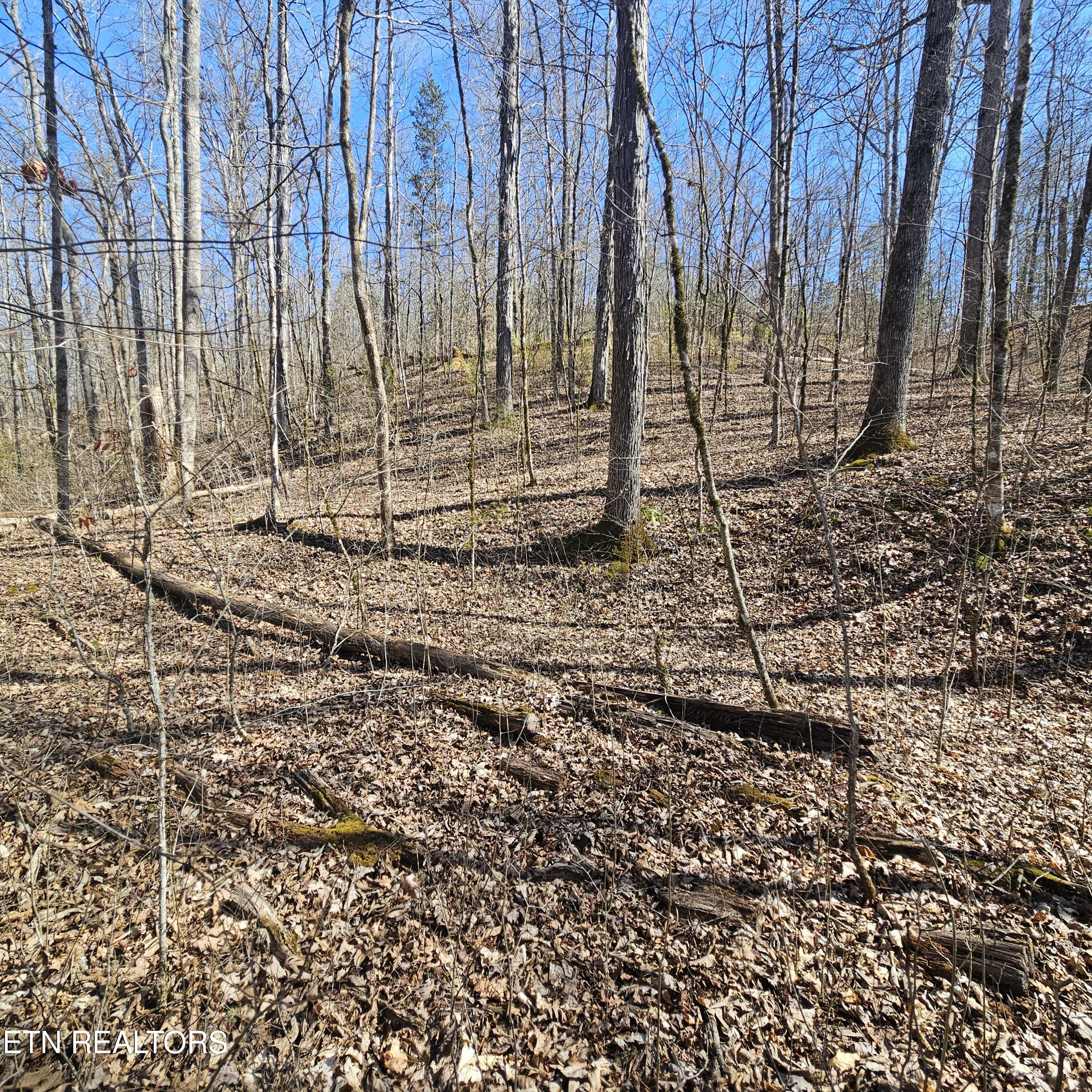 0 Lick Creek Road Tellico Plains, TN 37385 - Photo 48 of 48 left side