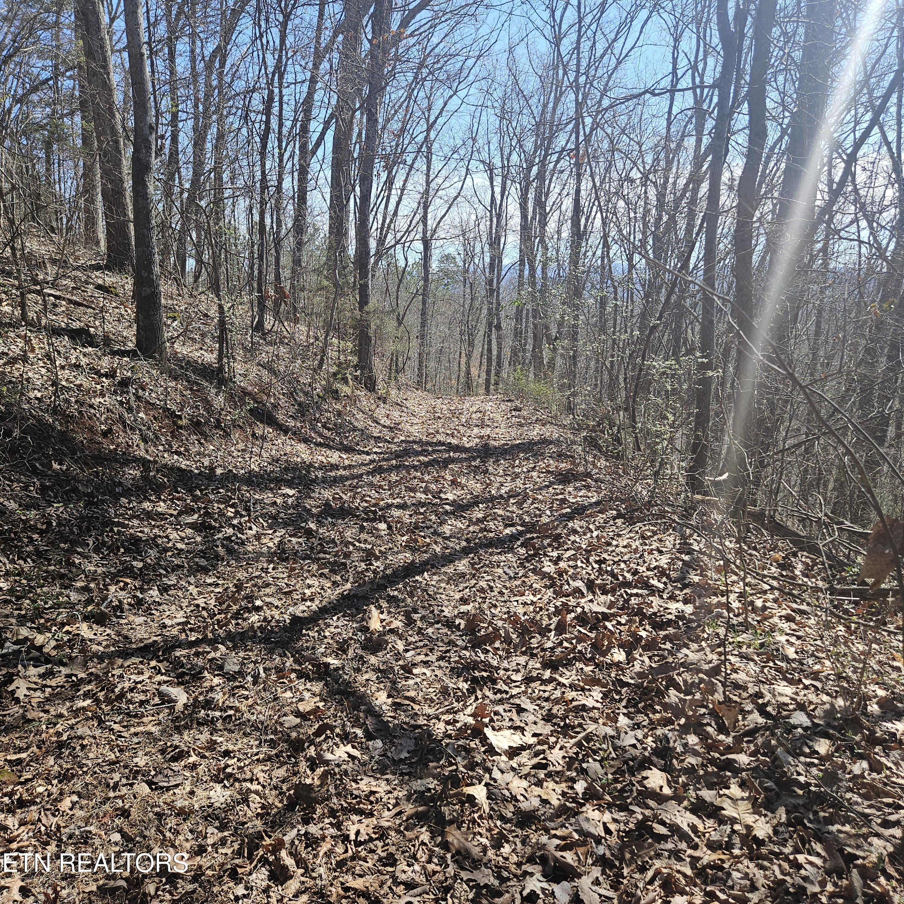 0 Lick Creek Road Tellico Plains, TN 37385 - Photo 5 of 48 20250301_123827 (1)