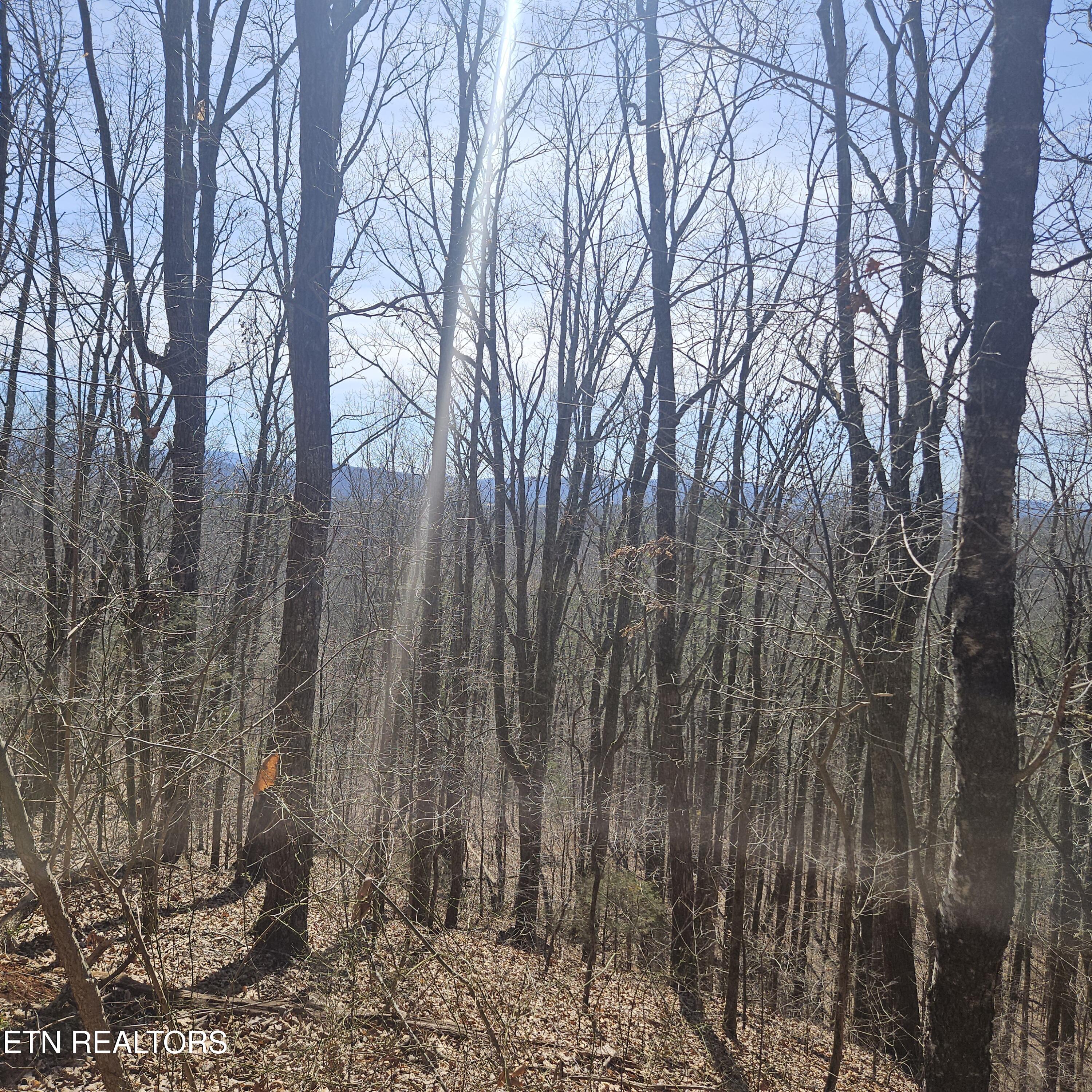 0 Lick Creek Road Tellico Plains, TN 37385 - Photo 8 of 48 Views, Views Everywhere!