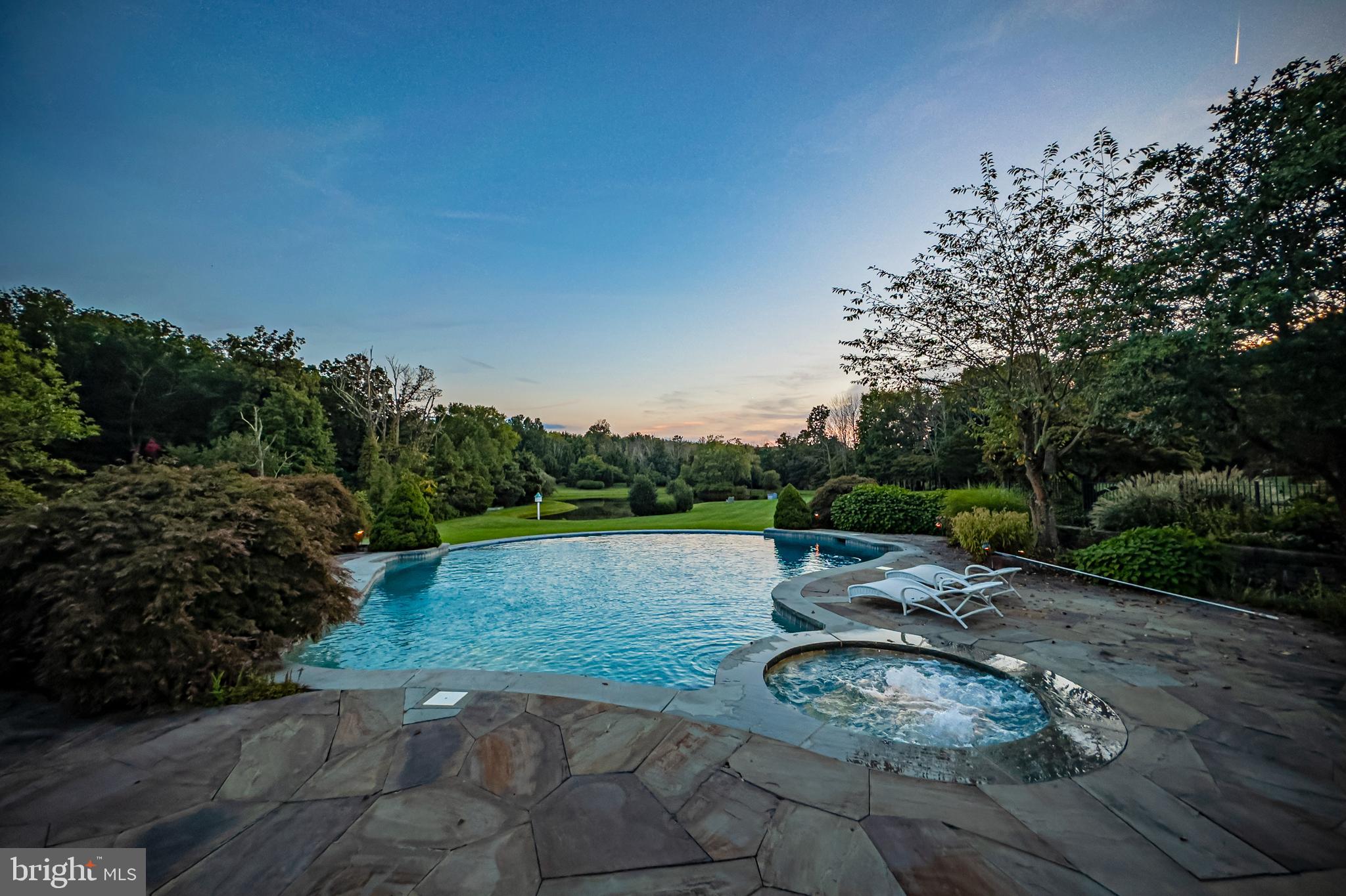 82 Aunt Molly Road Hopewell, NJ 08525 - Photo 44 of 55 a view of a backyard with table and chairs plants and large trees