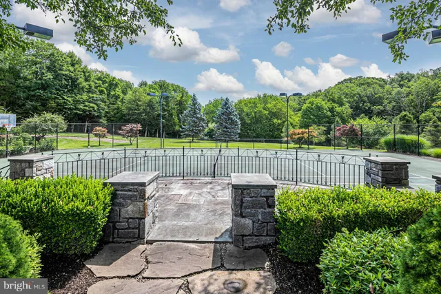 a view of a garden with plants