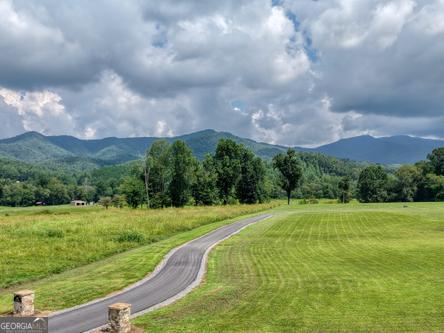 186 Rice Landing Hayesville, NC 28904 - Photo 19 of 77 a view of a big yard with potted plants and mountain