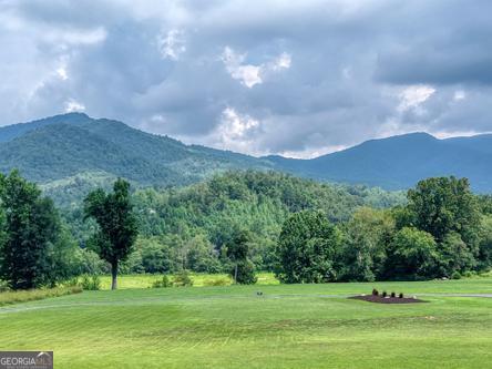 186 Rice Landing Hayesville, NC 28904 - Photo 28 of 77 a view of a grassy field with mountains in the background