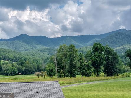 186 Rice Landing Hayesville, NC 28904 - Photo 29 of 77 a view of a big yard with large trees