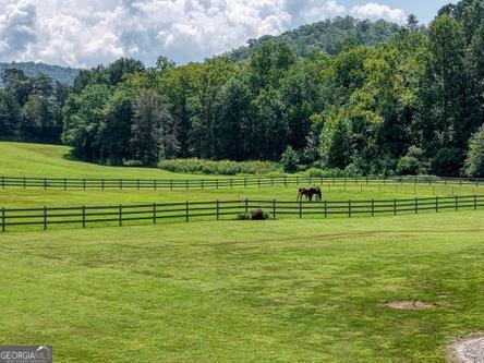 186 Rice Landing Hayesville, NC 28904 - Photo 8 of 77 a view of a green field